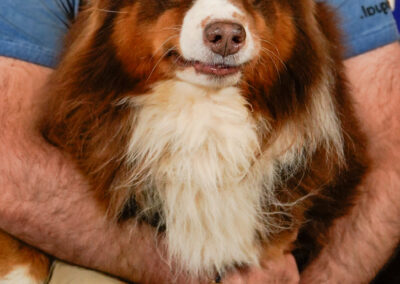 Evènement Shop in Beers